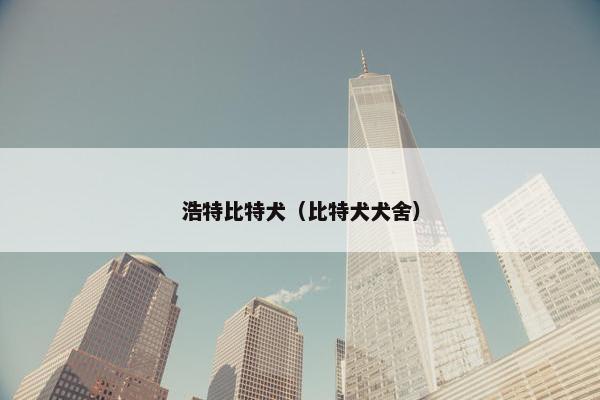浩特比特犬（比特犬犬舍）