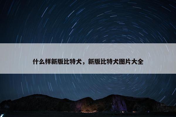 什么样新版比特犬，新版比特犬图片大全