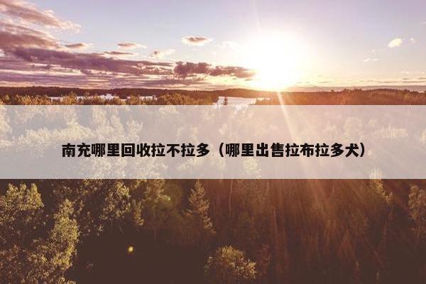南充哪里回收拉不拉多（哪里出售拉布拉多犬）