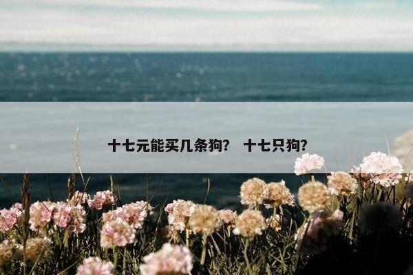 十七元能买几条狗？ 十七只狗？