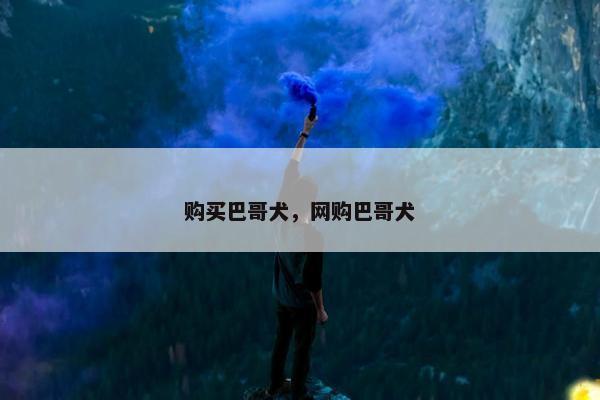 购买巴哥犬，网购巴哥犬