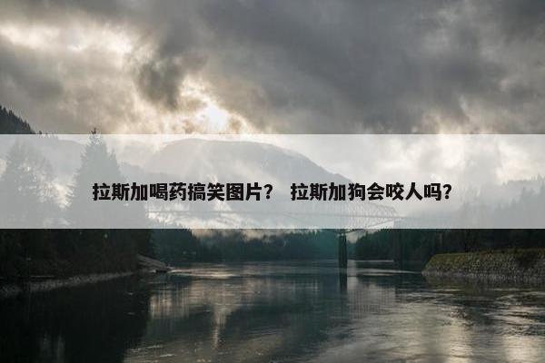 拉斯加喝药搞笑图片？ 拉斯加狗会咬人吗？