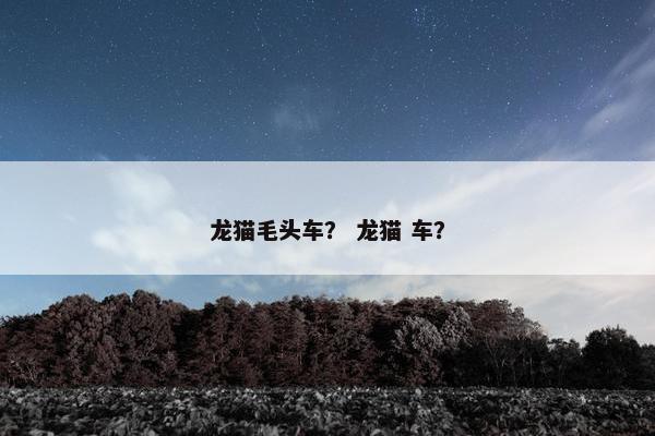 龙猫毛头车？ 龙猫 车？