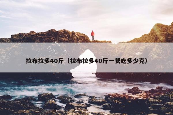 拉布拉多40斤（拉布拉多40斤一餐吃多少克）