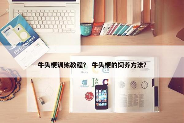 牛头梗训练教程？ 牛头梗的饲养方法？