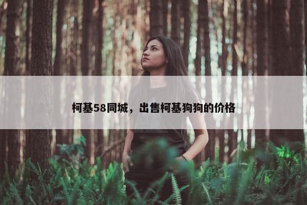 柯基58同城，出售柯基狗狗的价格