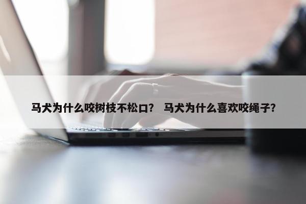 马犬为什么咬树枝不松口？ 马犬为什么喜欢咬绳子？