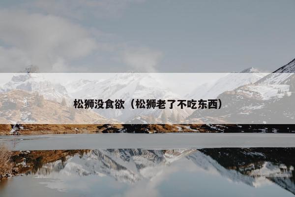 松狮没食欲（松狮老了不吃东西）
