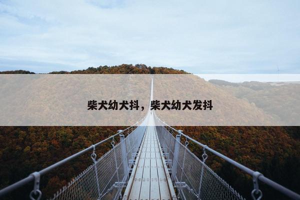 柴犬幼犬抖，柴犬幼犬发抖