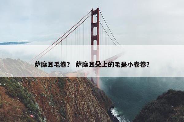 萨摩耳毛卷？ 萨摩耳朵上的毛是小卷卷？