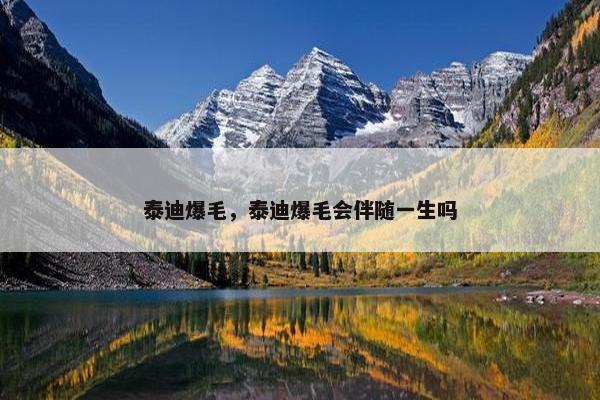 泰迪爆毛，泰迪爆毛会伴随一生吗