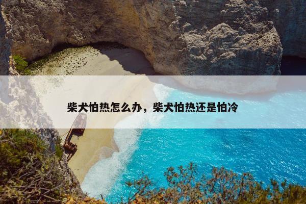 柴犬怕热怎么办，柴犬怕热还是怕冷