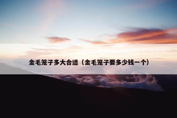 金毛笼子多大合适（金毛笼子要多少钱一个）