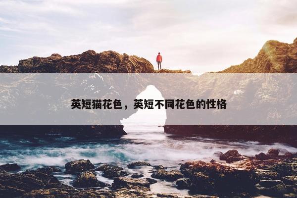 英短猫花色，英短不同花色的性格