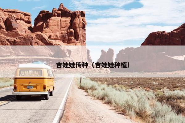 吉娃娃传种（吉娃娃种植）