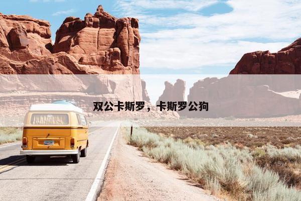 双公卡斯罗，卡斯罗公狗