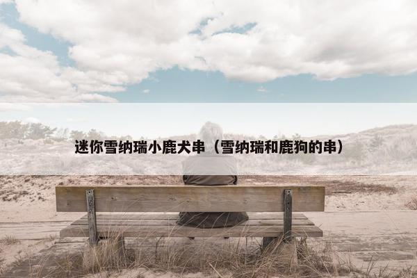 迷你雪纳瑞小鹿犬串（雪纳瑞和鹿狗的串）