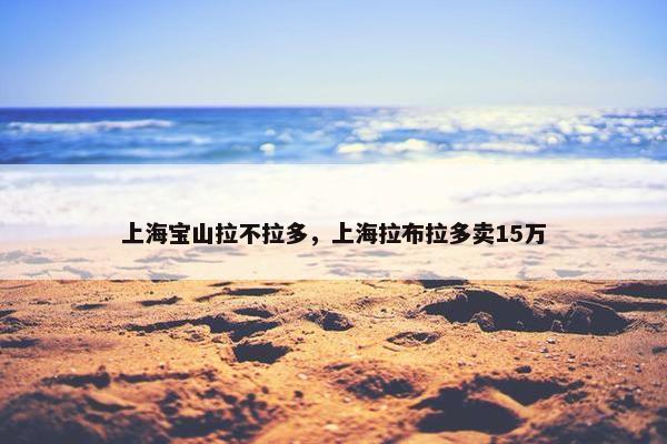 上海宝山拉不拉多，上海拉布拉多卖15万