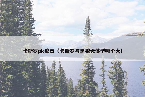 卡斯罗pk狼青（卡斯罗与黑狼犬体型哪个大）