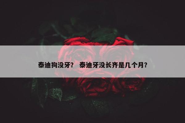泰迪狗没牙？ 泰迪牙没长齐是几个月？