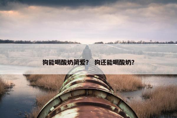 狗能喝酸奶简爱？ 狗还能喝酸奶？