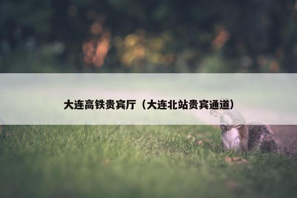 大连高铁贵宾厅（大连北站贵宾通道）