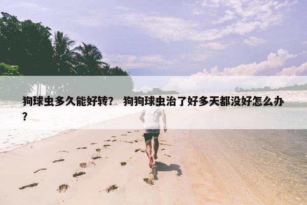 狗球虫多久能好转？ 狗狗球虫治了好多天都没好怎么办？