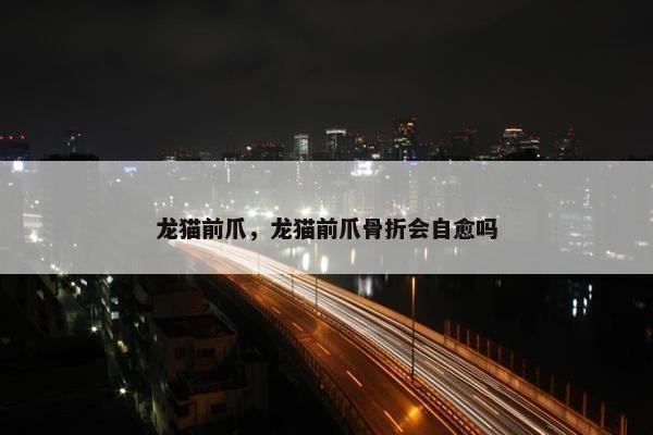 龙猫前爪，龙猫前爪骨折会自愈吗