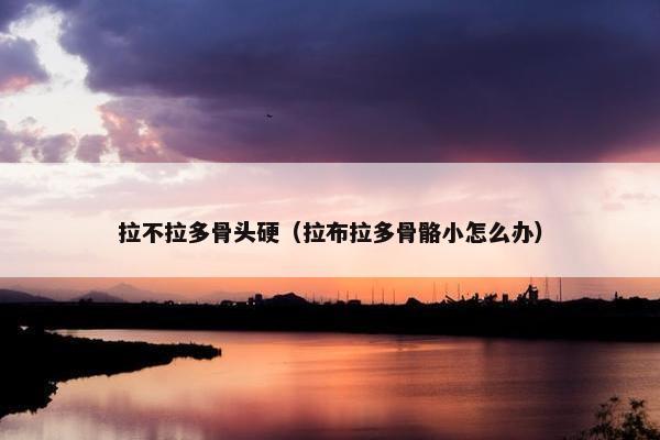 拉不拉多骨头硬（拉布拉多骨骼小怎么办）