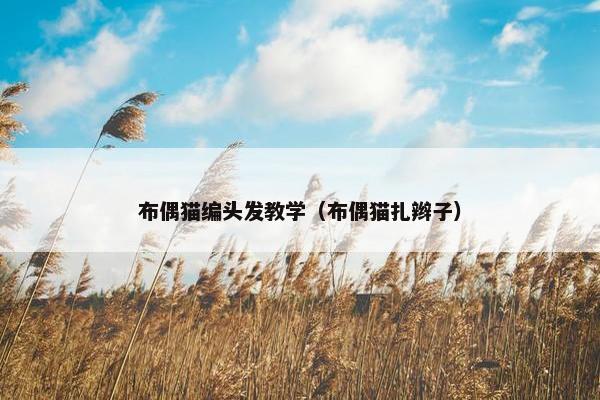 布偶猫编头发教学（布偶猫扎辫子）