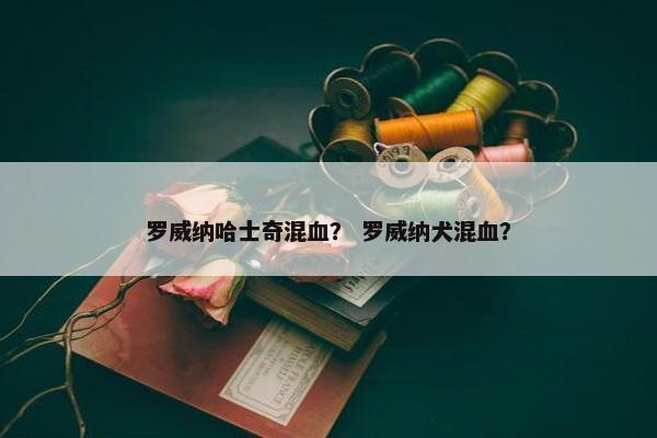 罗威纳哈士奇混血？ 罗威纳犬混血？