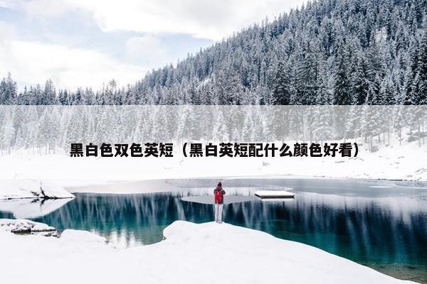 黑白色双色英短（黑白英短配什么颜色好看）