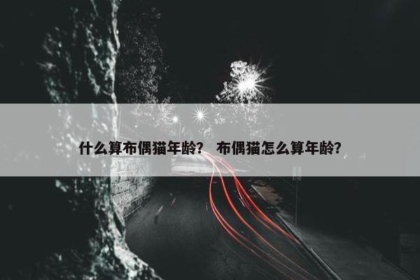 什么算布偶猫年龄？ 布偶猫怎么算年龄？