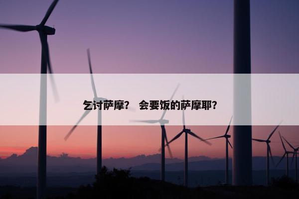 乞讨萨摩？ 会要饭的萨摩耶？