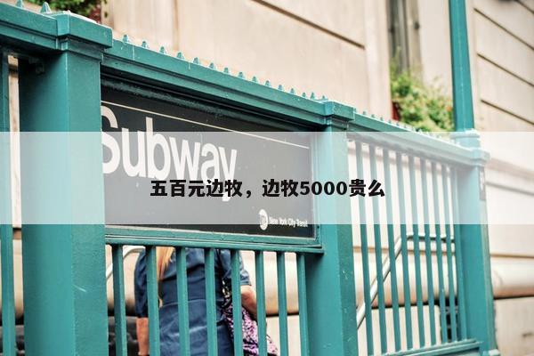 五百元边牧，边牧5000贵么