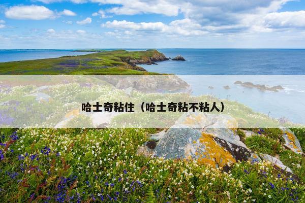 哈士奇粘住（哈士奇粘不粘人）