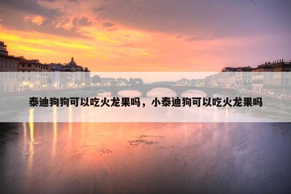 泰迪狗狗可以吃火龙果吗，小泰迪狗可以吃火龙果吗