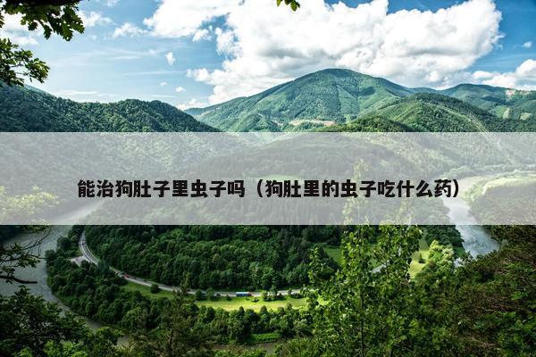 能治狗肚子里虫子吗（狗肚里的虫子吃什么药）