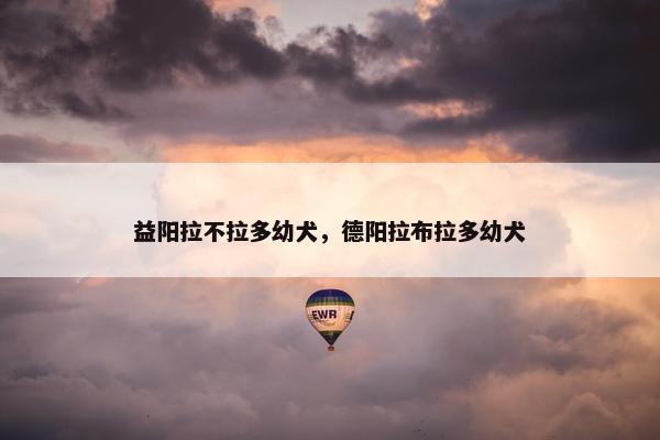 益阳拉不拉多幼犬，德阳拉布拉多幼犬