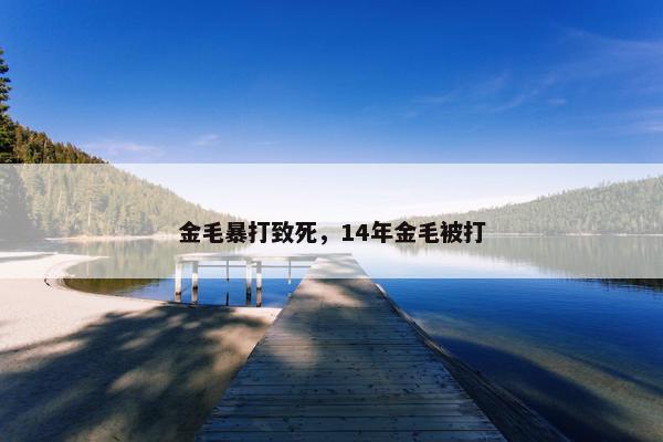 金毛暴打致死，14年金毛被打
