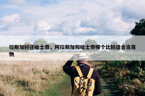 拉斯加好还哈士奇，阿拉斯加和哈士奇哪个比较适合当宠物