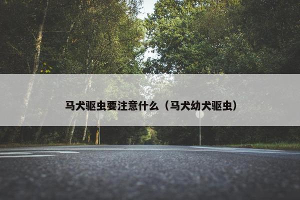 马犬驱虫要注意什么（马犬幼犬驱虫）