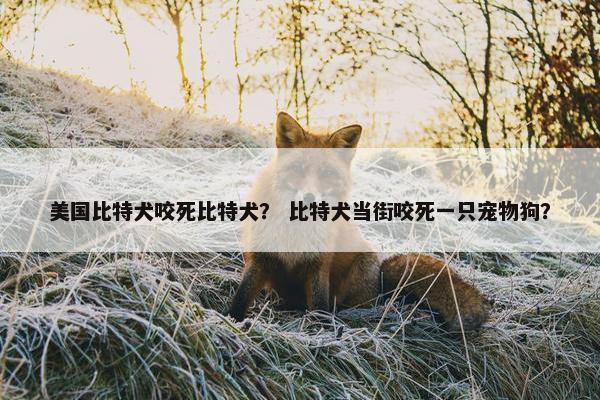 美国比特犬咬死比特犬？ 比特犬当街咬死一只宠物狗？