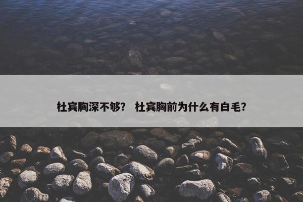 杜宾胸深不够？ 杜宾胸前为什么有白毛？