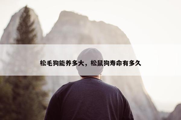 松毛狗能养多大，松鼠狗寿命有多久