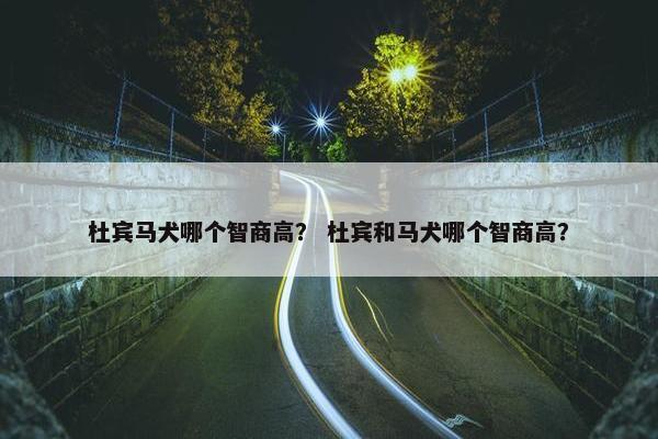 杜宾马犬哪个智商高？ 杜宾和马犬哪个智商高？