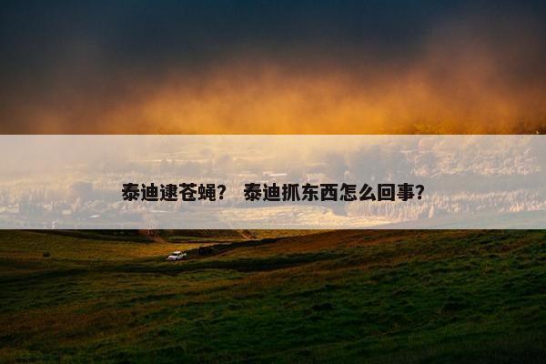 泰迪逮苍蝇？ 泰迪抓东西怎么回事？