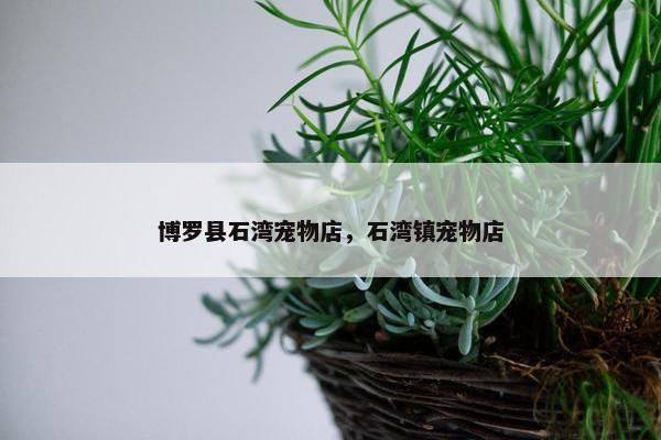 博罗县石湾宠物店，石湾镇宠物店