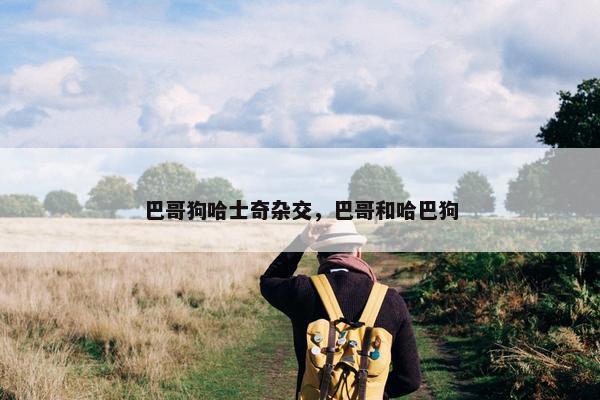 巴哥狗哈士奇杂交，巴哥和哈巴狗