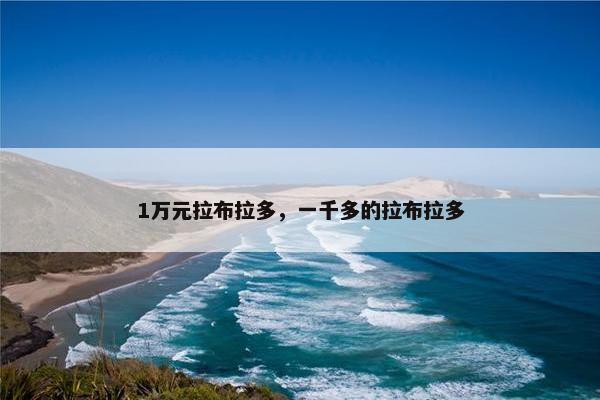 1万元拉布拉多，一千多的拉布拉多